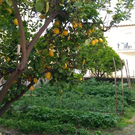 Il Leccio Semesterbostad